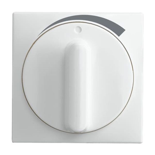 Central plate with rotary handle, with imprint Busch-balance® SI image 1
