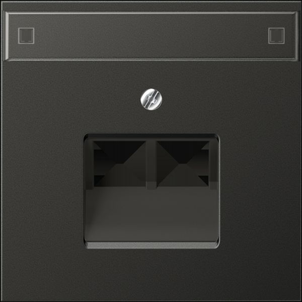 Centre pl. f. 2-gang mod. jack sockets AL2969-2NAUAAN image 2