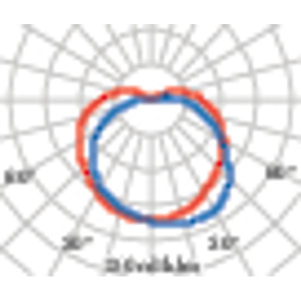 SUPERDELTA OVALE WIT E27 image 6