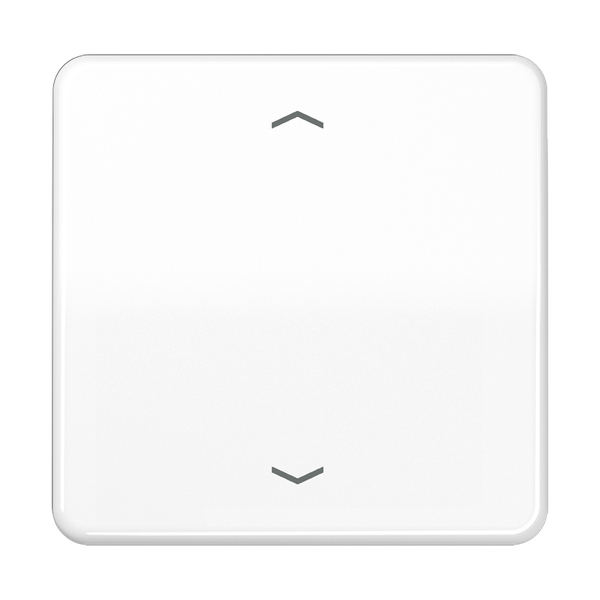 LB Management push-button 1-gang CD1700PWW image 1