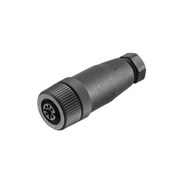 Field attachable connector, M12 image 1