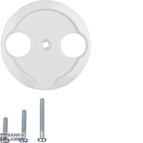 Antenna socket cover 2 cutouts, Series 1930/Glass, polar white image 1