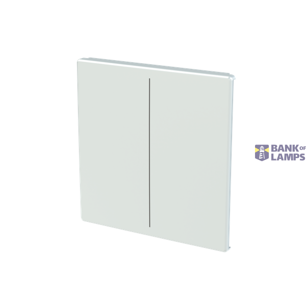 ESP SL110L/M module image 2