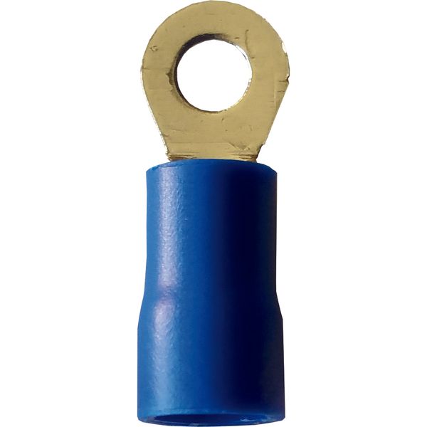 Fichero: Ter pre red azul.jpg image 1