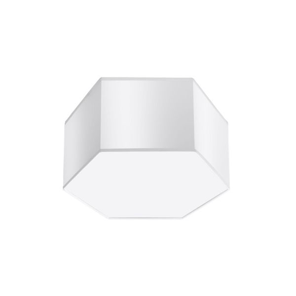CEILING LAMP SUNDE 15 WHITE E27 2X60W IP20 image 1