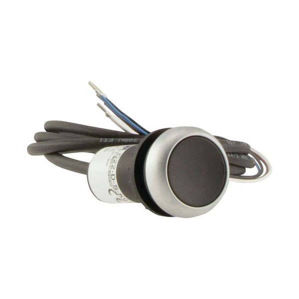 C22-D-S-K01-P62 Pushbutton, Flat, momentary, 1 NC, Cable (black) with non-terminated end, 4 pole, 1 m, black, Blank, Bezel: titanium image 10
