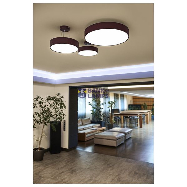 suspension set for 1-10V MEDO LED, 5-core, ruby image 3