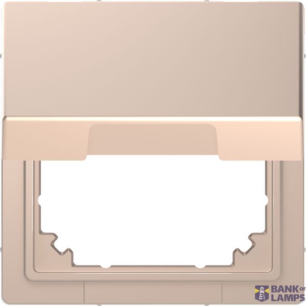 SYSTEEM-D ADAPTER SYS-M KLEP CHAMPAGNE image 1