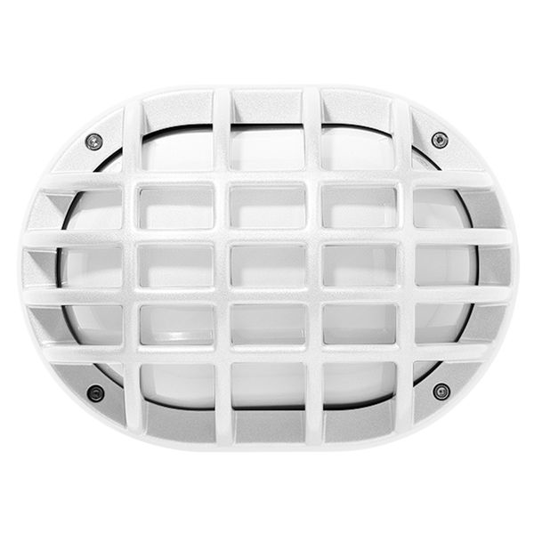 EKO+19/G LED 840 WIT10W image 1