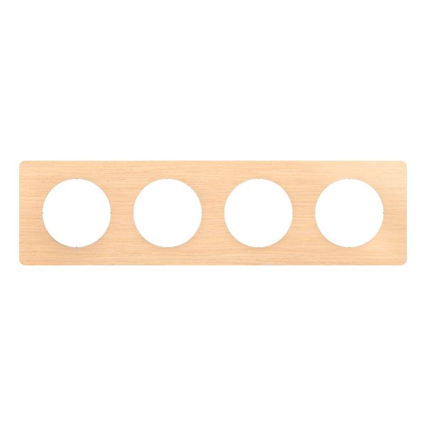 PLATE 4 GANG BEECH image 6