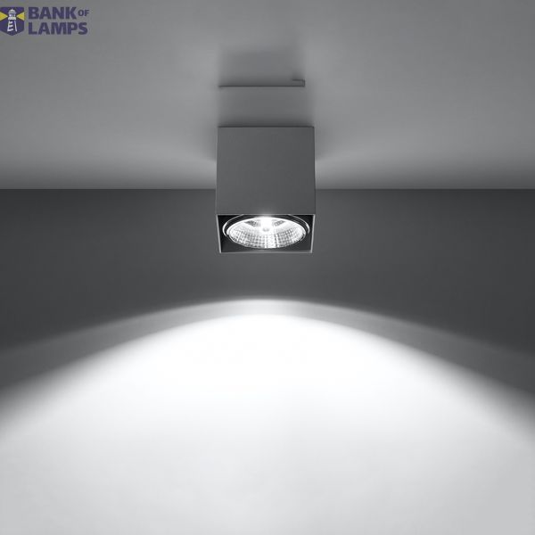 SPOT BLAKE GREY GU10 1X40W IP20 image 5