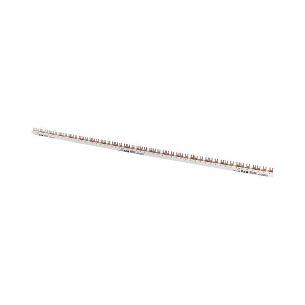 Z-GV-16/1P+N-2TE/16 Phase busbar, 2-phases, 16qmm, fork connector image 3