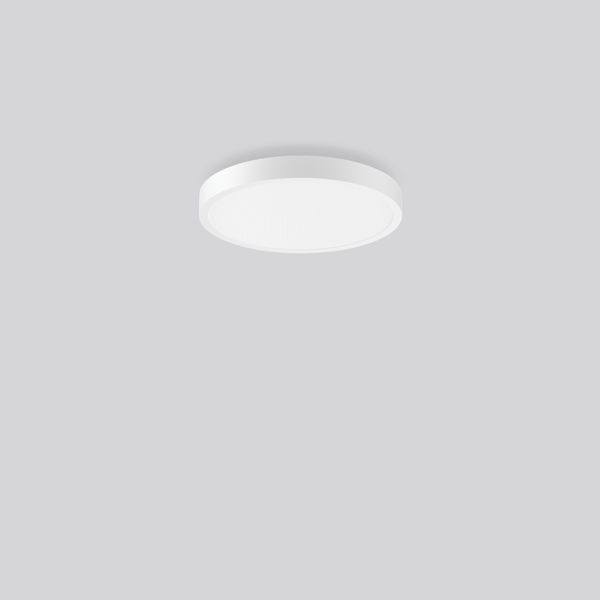 TRIONA round, 28 W, 3250 lm, 840, white, DALI Ceiling and wall luminai image 1