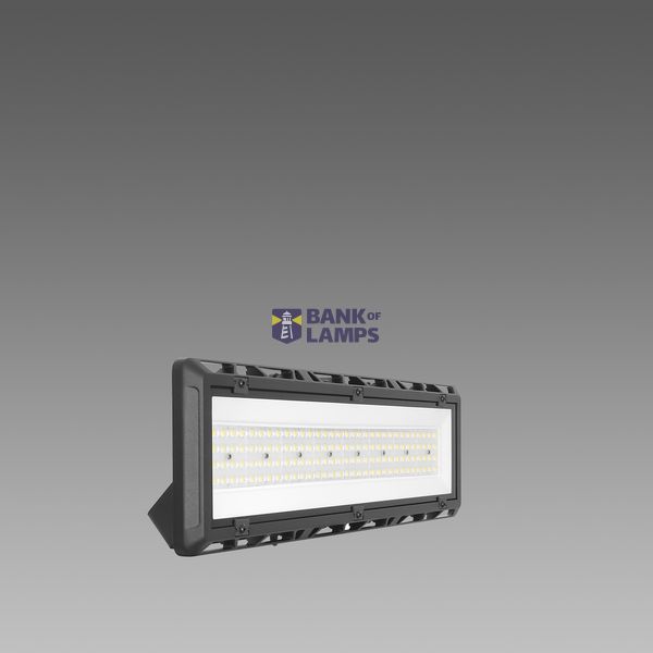 TUNNEL 3301 LED 100W CLD RAL9005 image 1
