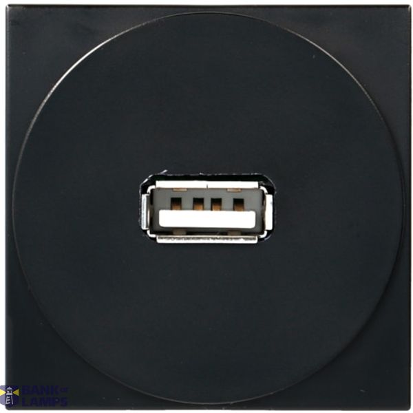 Black USB socket, 2M image 1