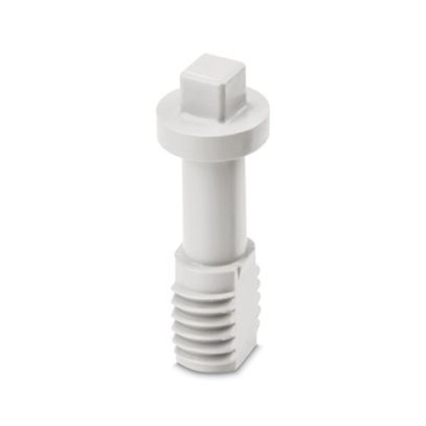 AE LOS CP CS - Screw plug image 1