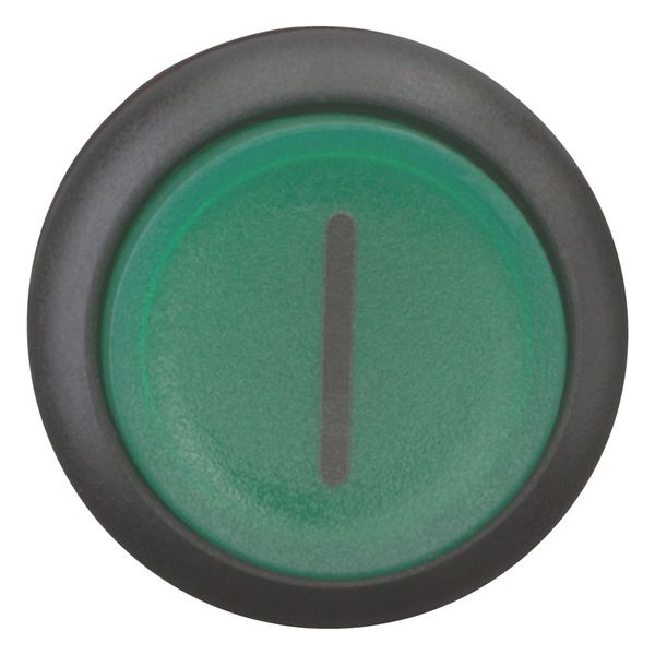 M22S-DLH-G-X1 Illuminated pushbutton actuator, RMQ-Titan, Extended, momentary, green, inscribed, Bezel: black image 4