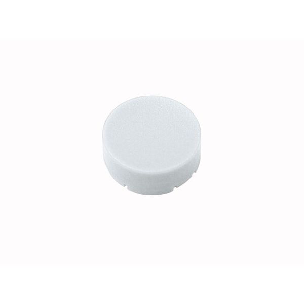 M22-XDH-W Button plate, raised white, blank image 1