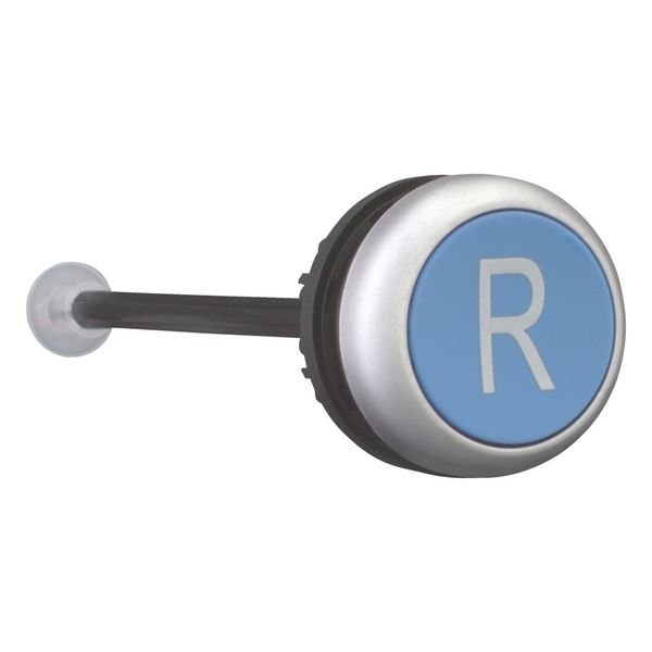 M22-DZ-B-X6 Release pushbutton, blue, R image 11