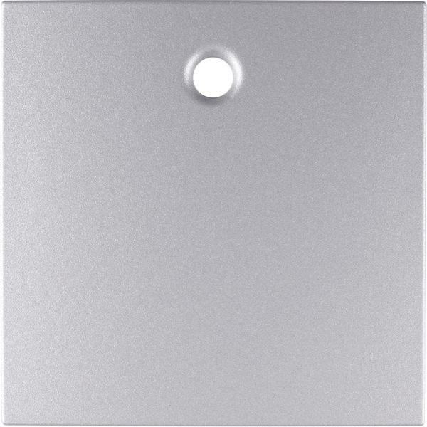 Centre plate for pullcord switch/pullcord push-button, B.7, al., matt, image 1