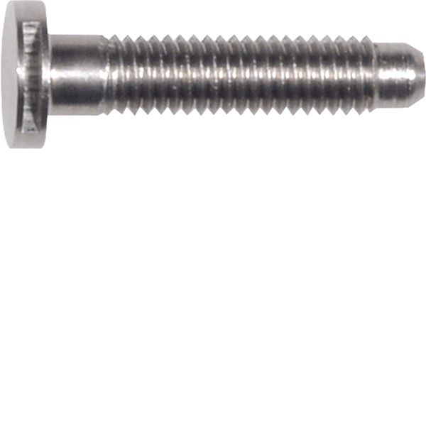 Special screw stainless steel ZY SW6 M5x22 image 1
