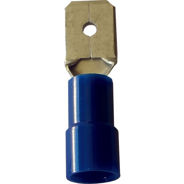 Fichero: Ter ench plan azul.jpg image 1