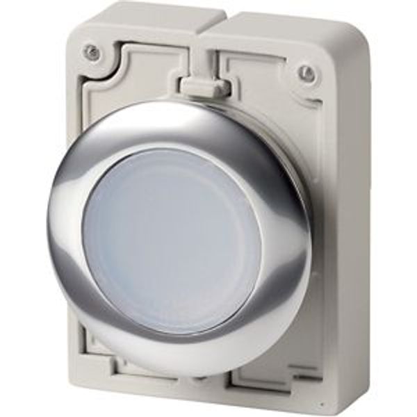 M30C-FDRL-W Illuminated pushbutton actuator, RMQ-Titan, Flat, maintained, White, Blank, Metal bezel image 8