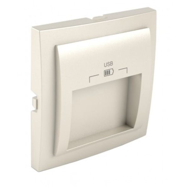 C PLATE DOUB USB CHARG TYPE A 20° OUTPUT PE image 1