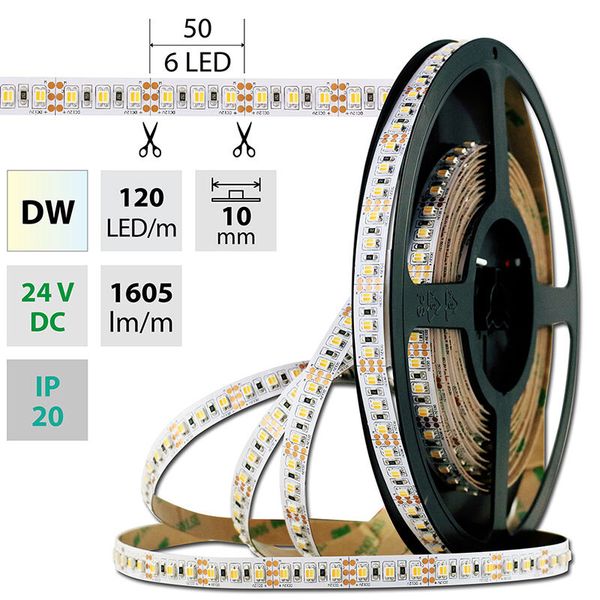 LED strip SMD3527 dual white WW-CW 120LED/m 19,2W/m 1605lm/m IP20 DC24V 10mm 50m image 1