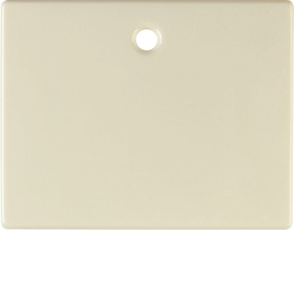 Centre plate for pullcord switch/pullcord push-button, arsys, white gl image 2