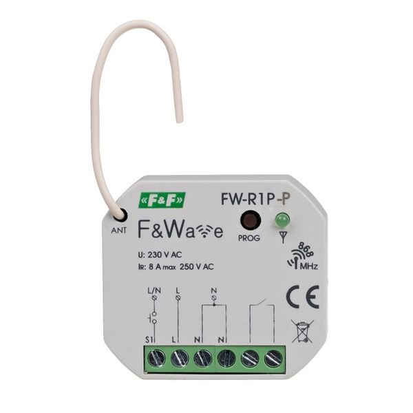 FW-R1P-P image 2