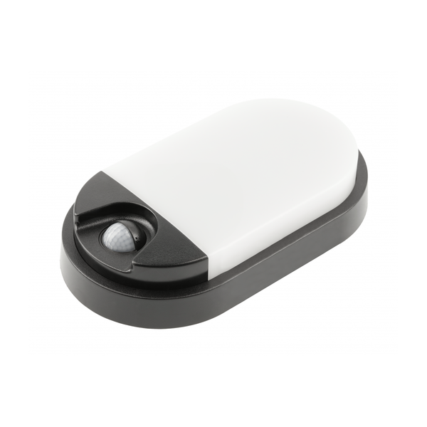 LED luminaire TULON with motion sensor, 15 W, 1350 lm, 4000K, AC220-240V, IP54, oval, black image 1