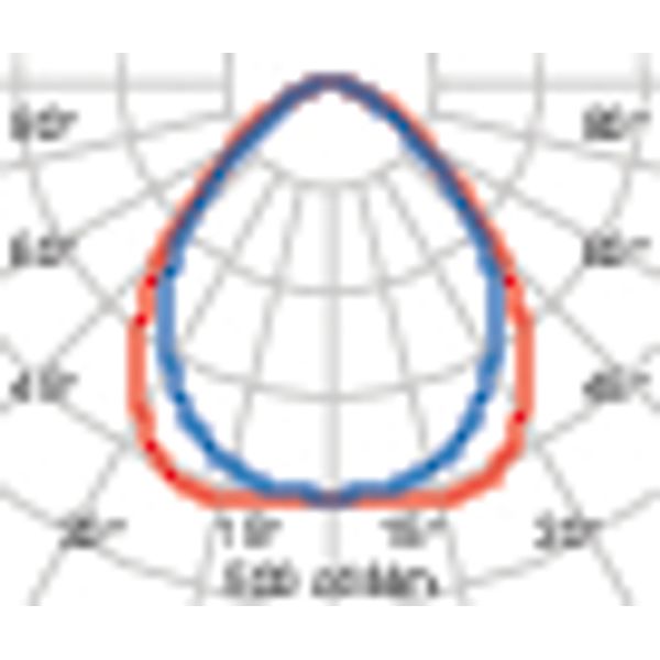 PLATE 600 MP 28.5 940 UGR image 7