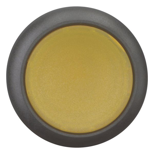 M22S-DL-Y Illuminated pushbutton actuator, RMQ-Titan, Flush, momentary, yellow, Blank, Bezel: black image 10