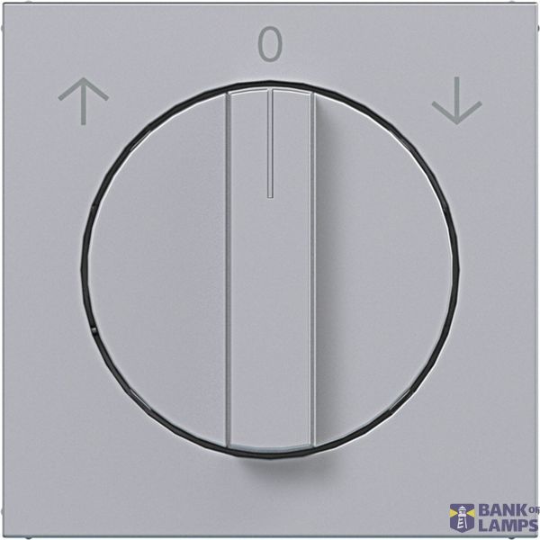 Central plate for rotary blind switch, A.x/C.x, titanium image 1