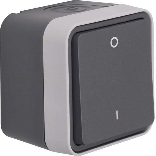 On/off switch 2pole with imprint "0" and "1" surface-mounted, W.1 grey image 1