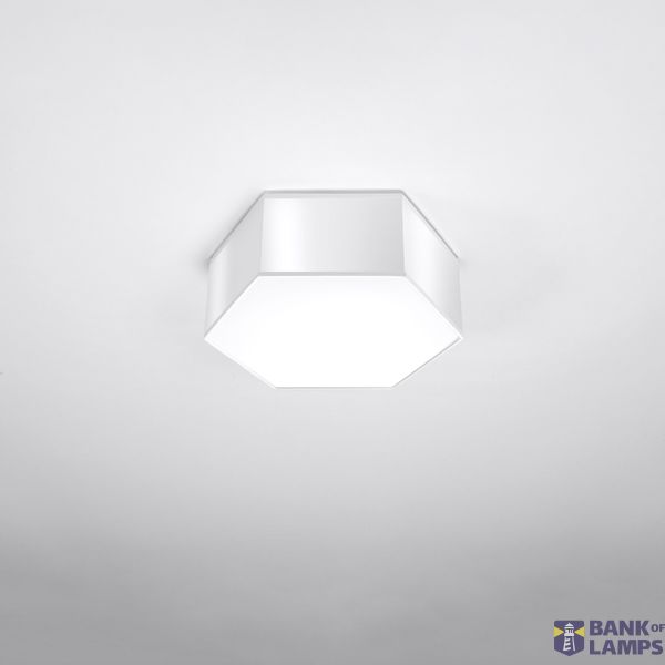 CEILING LAMP SUNDE 11 WHITE E27 2X60W IP20 image 9