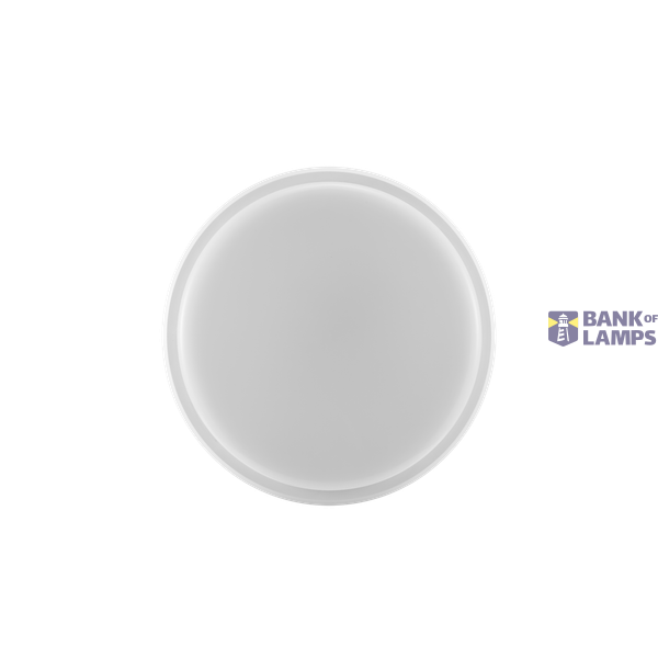 LEDWall-Mounted-P Rd300-21W-EM3 image 2