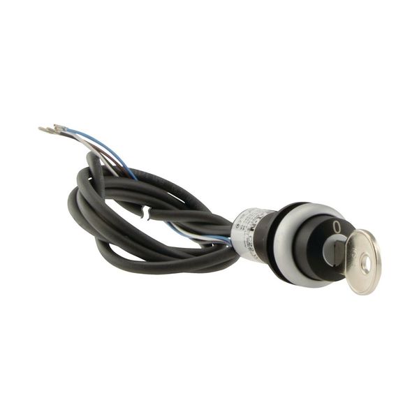 C22-WRS-MS1-K02-P65 Key-operated actuator, RMQ compact solution, maintained, 2 NC, Cable (black) with non-terminated end, 4 pole, 3.5 m, 2 positions, MS1, Bezel: titanium image 16