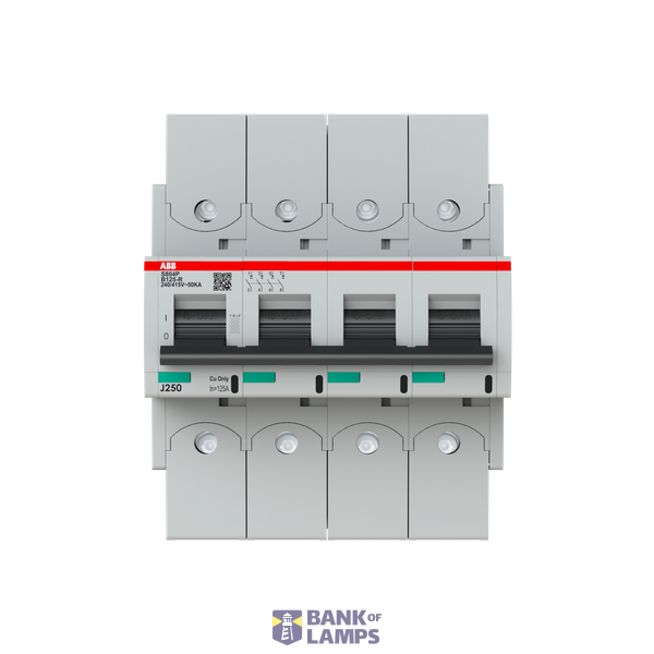 S804P-B125-R circuit breaker image 1