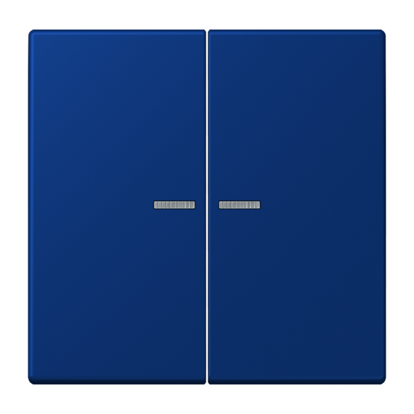 JUNG HOME push-button 2-gang BTLC17102261 image 1