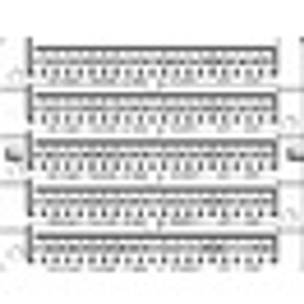 Marking tags 201-250 (each 2x) image 2