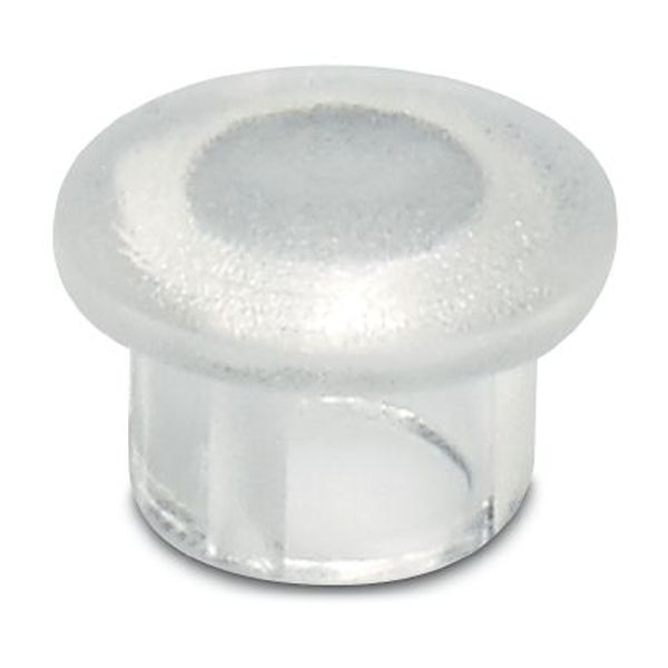 Light cap image 1