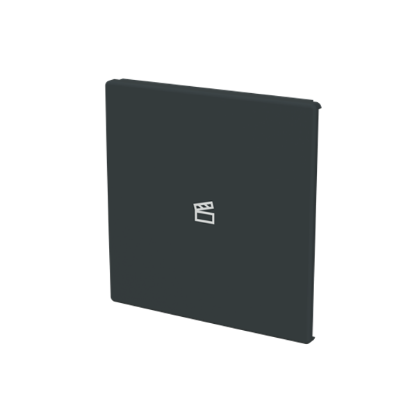 free@home Cover plate with legend with Symbol scene anthracite - Platform 63 image 2