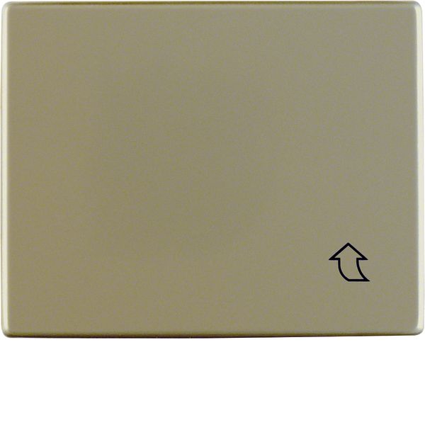 Interm. ring hinged cover f.central plate 50x50 mm, arsys, bronze matt image 1