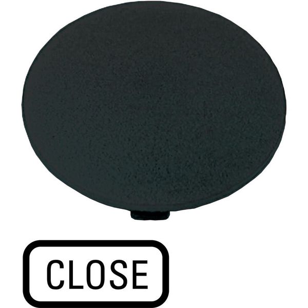 M22-XDP-S-GB2 Button plate, mushroom black, CLOSE image 2