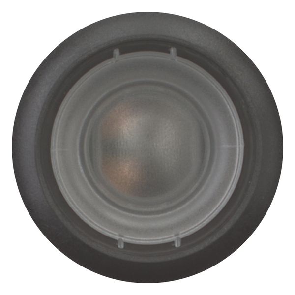 Illuminated pushbutton actuator, Flat, momentary, 1 N/O, Screw connection, LED Blue, Without button plate, 24 V AC/DC, Bezel: black image 4