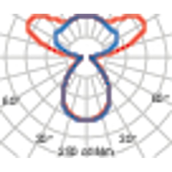 SL720+PL RL 48 S/C 840 WIT DALI MP image 6