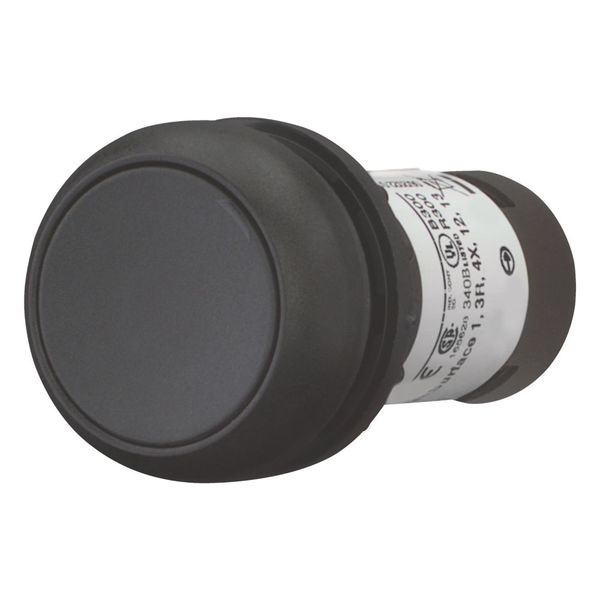 Pushbutton, Flat, momentary, 1 NC, Screw connection, black, Blank, Bezel: black image 5