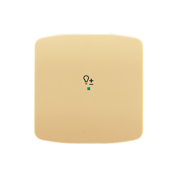 Rocker, 1gang, with “Dimmer” icon image 1